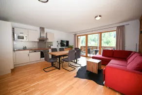 Schmitten Finest Apartment - SKYBLUE - Image 2
