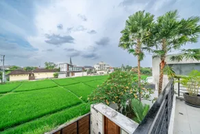 Magic River Villa Rice field view - Image 2