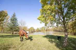 Charming house in the heart of the vineyards – Unobstructed view - Image 3