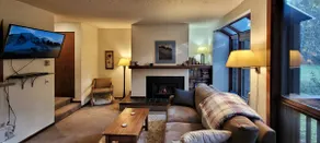 Mt. Baker Resort Stay | Hot Tub • Pool • Pets OK - Image 5