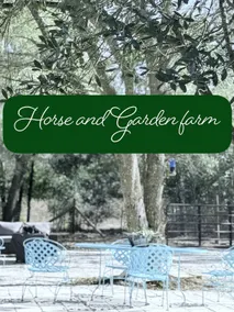 Horse & Garden Farmstay: Rustic Meets Regenerative - Image 5
