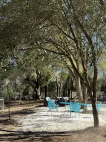 Horse & Garden Farmstay: Rustic Meets Regenerative - Image 3