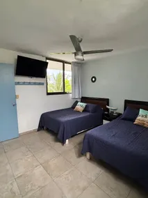 Charming apartment with ocean view and terrace - Image 5