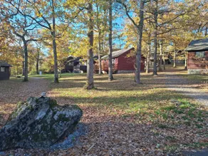Welcome to Soixante et Pins. Charming cottage 6p. - Image 3