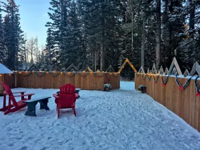 Secluded cozy cabin - private 115 acres/trails. - Image 4