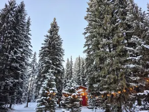 Secluded cozy cabin - private 115 acres/trails. - Image 2