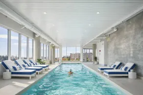 Serene Penthouse w Sunrise Views Downtown Bellevue - Image 3