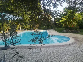 Paradiso di Nico an oasis with a pool near Verona - Image 3
