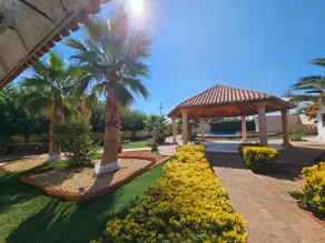 Las Palmas Apartments - Image 2
