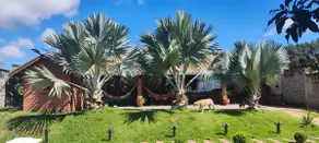 Perfect farm for your family. - Image 2