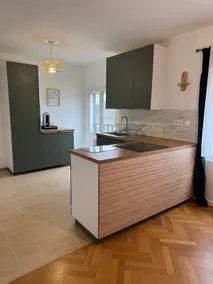Modern V apartment PARIS/ORLY airport - Image 3