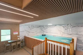 Swim Spa + Sauna! Karaoke, Movie Theater, Lake - Image 3