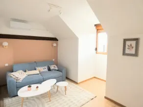 AlsAppart – air-conditioned duplex near Colmar - Image 5
