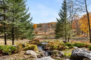 Luxe Boyne Getaway - Hot Tub, Sauna, 80+acres - Image 2