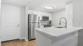 Beautiful Sophisticated Apartment - North Bethesda - Image 5