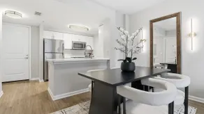 Beautiful Sophisticated Apartment - North Bethesda - Image 4