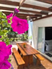 HOUSE 800 m from Downtown Ituporanga with 3 Bedrooms - Image 4