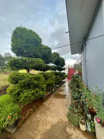 A simple home with lot of Nature connections - Image 4