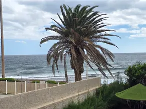 Canary-holiday Asara 2 oceanfront - Image 4