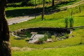 Evergreen Haven Apartment - Terrace & BBQ - Image 2