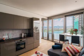 Above Danube - Luxury Apartment - Image 5