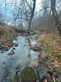 Creekside Cottage - Near hiking + fishing - Image 3