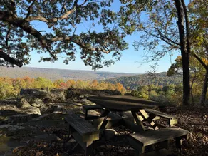 Mountain View Cabin (sleeps 4) & Bunkhouse (sleeps 6) - Image 5