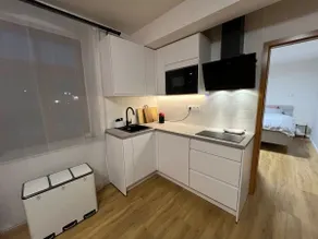 Apartment in the heart of Bärenstein. - Image 4