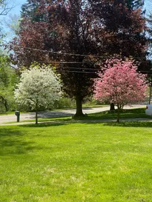 Upper level Riverside Ranch - Image 4