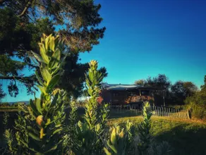 Cabin@Terana - Image 4