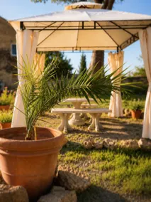 Podere Centoquattro - Pool between the sea and the countryside - Image 3