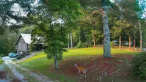 Beaver Creek Cabin - Relax and Enjoy - Image 2