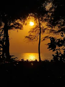 Tah O:ra › Spacious Beachfront Studio, South Goa - Image 2