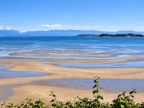 Beach Daze! Peaceful Retreat Near Rathtrevor Beach - Image 3
