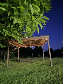 Green Shelter Catripulli, Valdivia - Image 2