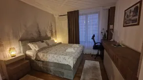 Fluvius Suite - Planet Residence Niš, Free Parking - Image 3