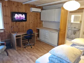 Annex - Image 3