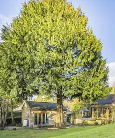 Woodland Annex - Image 3