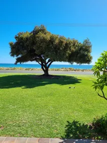 Beach House on the Bay - Image 5