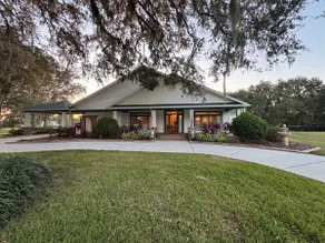 Cozy Countryside Haven | Near Tampa & Lagoon - Image 2