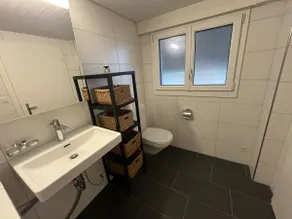 Apartment im Winkel in Reinach AG - Image 5
