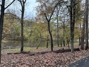 Mountain Retreat by Berkeley Springs+River Access - Image 3