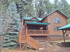Cabin Among the Pines w/ game room +Tesla charger! - Image 3