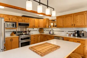 In Plain | Hot Tub | Dogs | Yard | Game Rm | BBQ - Image 3