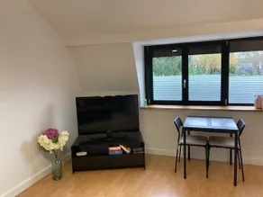 Cozy & quiet two-room apartment - 15 minutes from Lille - Image 4