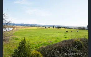 Yarra Valley Farmhouse Sunrise Deck Views - Image 5