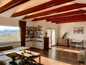 Spacious apartment with generous views - Image 5