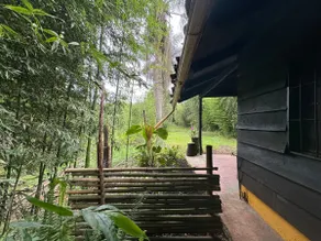Amazing cabins in Coatepec - Ideal for 5 - Image 3