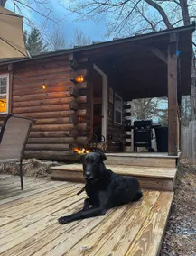 Cabin w/fenced yard-firepit-close to lake- pets ok - Image 5