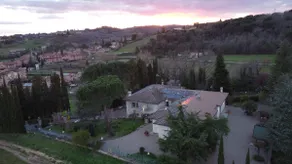 La quiete del bosco di Geggiano, Siena - Image 2